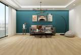 2.5mm Luxury Vinyl Tile (LVT) Straight Plank Glue Down Builder's Line Wide Planks - Image 1