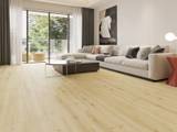 6.5mm SPC / Rigid Core Vinyl Straight Plank Click System Wood Line Wide Planks - Image 1